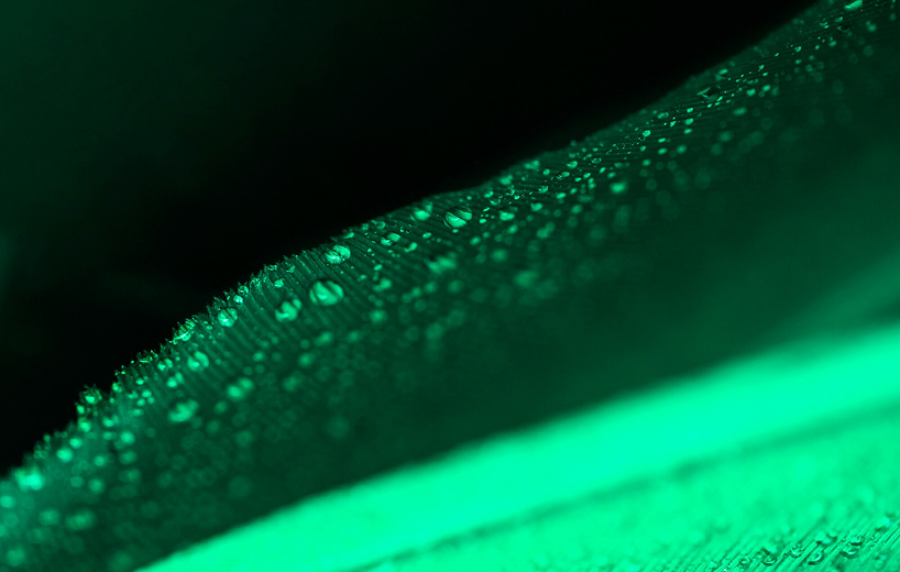 An electronic prescription tailored for the finance sector